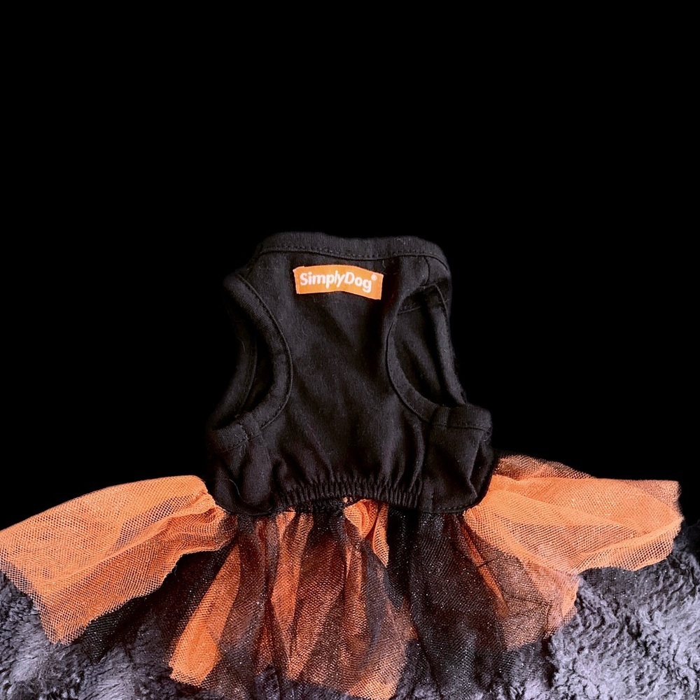 PET JACK-O’-LANTERN COSTUME - Picture 10 of 12
